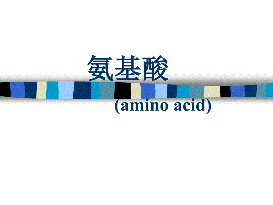 蛋白质的水解_第1页