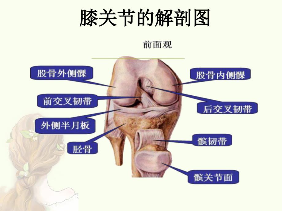 膝关节镜护理查房ppt课件_第4页