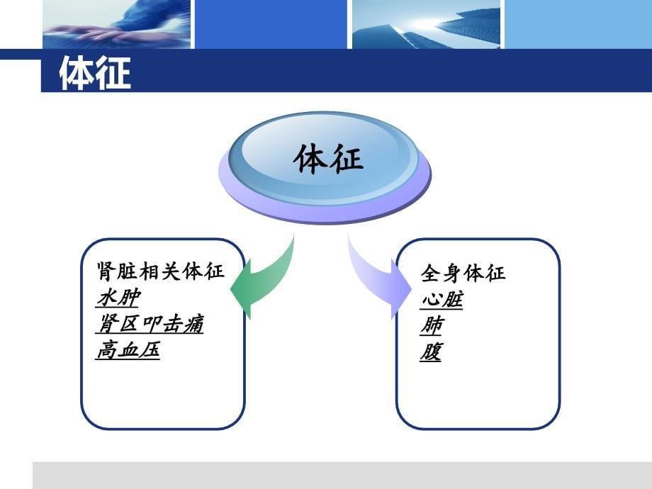 肾内科诊断思路_第5页