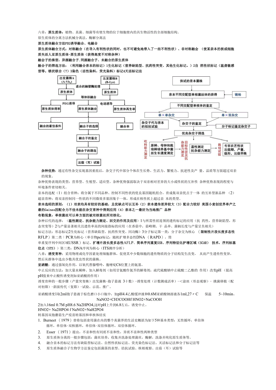 食用菌育种复习资料_第2页