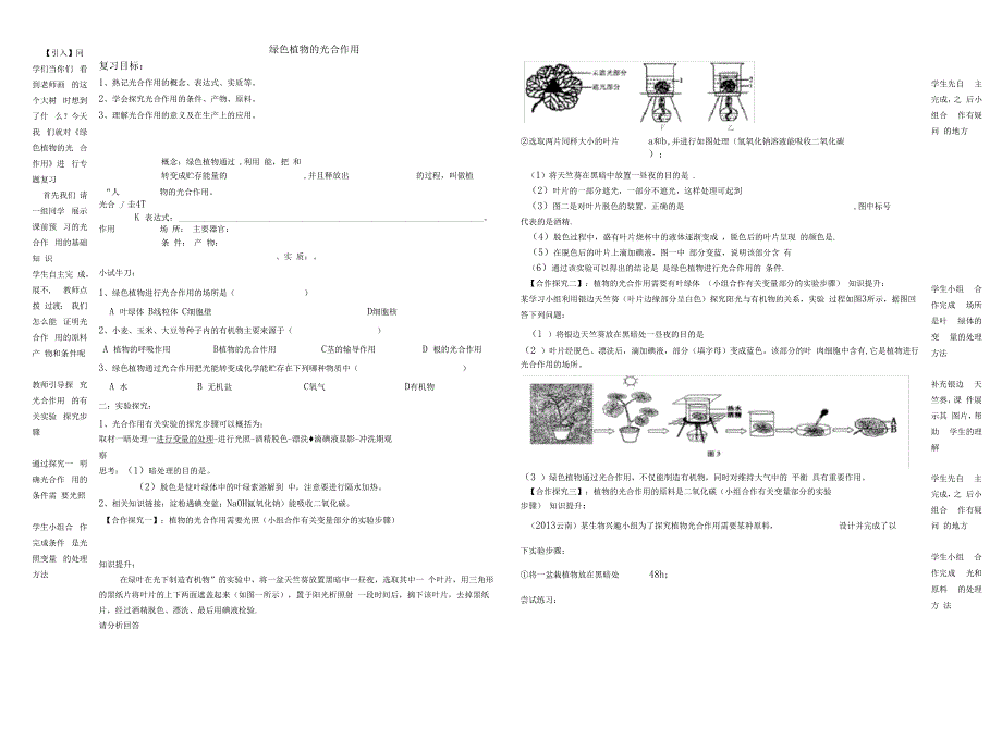 植物的光合作用复习导学案_第1页