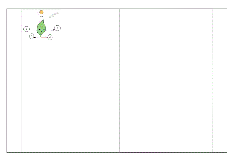 植物的光合作用复习导学案_第4页