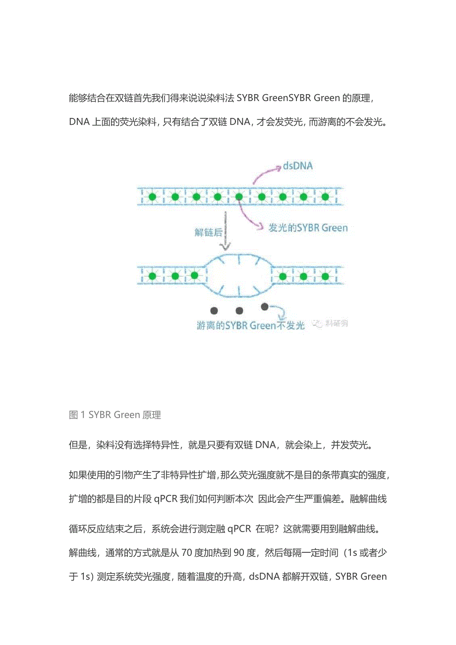 完整版RealtimePCR溶解曲线分析_第1页