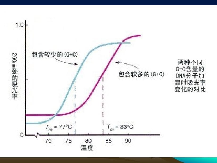 1分子生物学常用技术2杂交_第5页