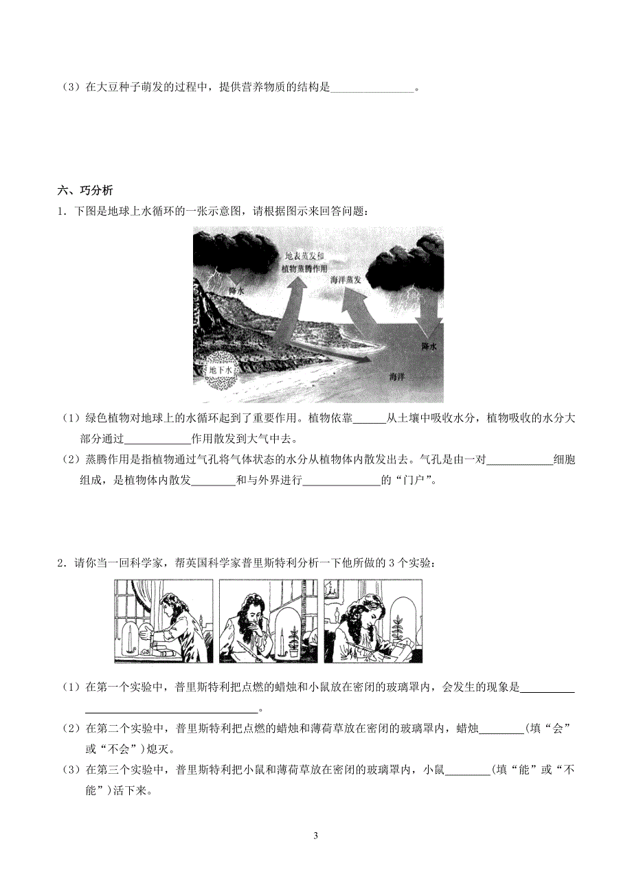 主题4生物圈中的绿色植物（2）_第3页