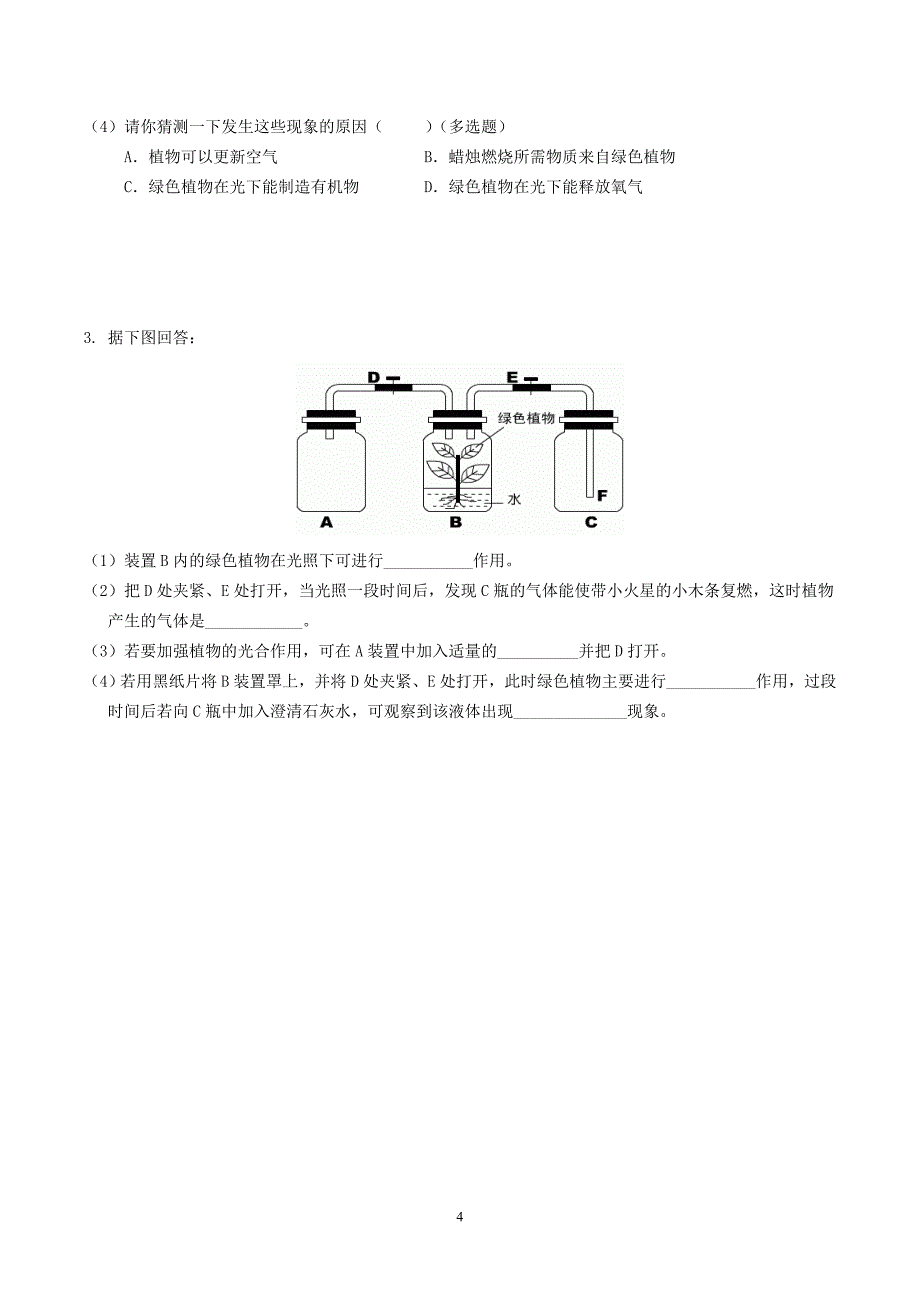 主题4生物圈中的绿色植物（2）_第4页