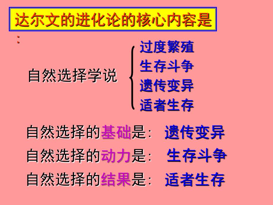 浙教版九年级科学下册教学课件第一章第五节遗传与进化共58张PPT_第2页