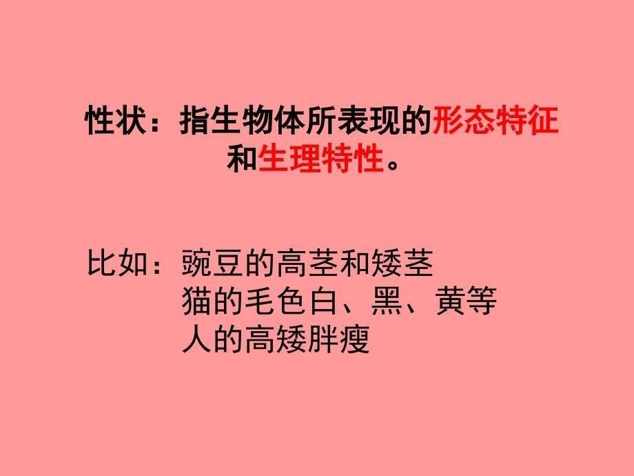 浙教版九年级科学下册教学课件第一章第五节遗传与进化共58张PPT_第5页