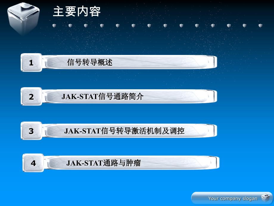 JAKSTAT信号传导通路_第2页