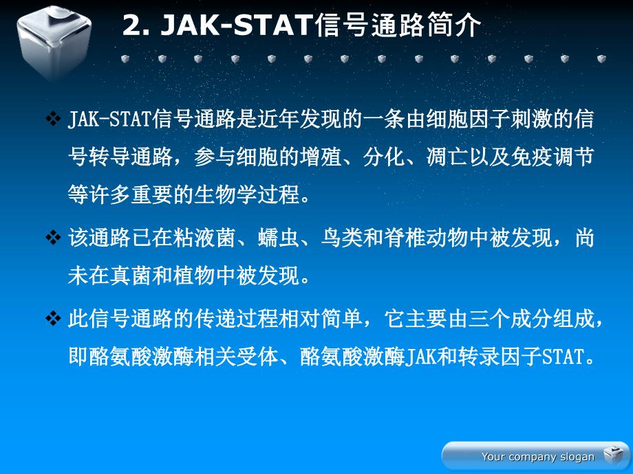 JAKSTAT信号传导通路_第4页