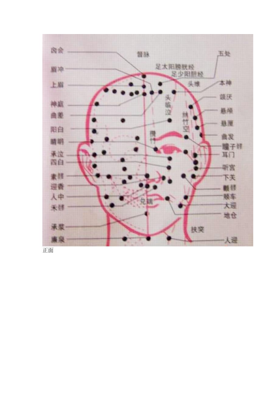 头面部经络穴位分布.doc_第3页