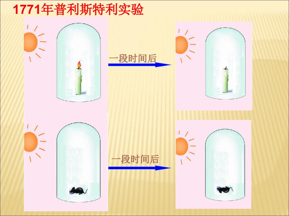 光合作用的原理和应用PPT课件_第3页