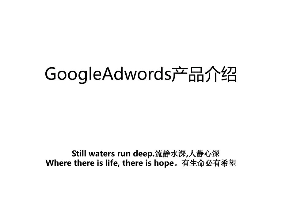 GoogleAdwords产品介绍_第1页