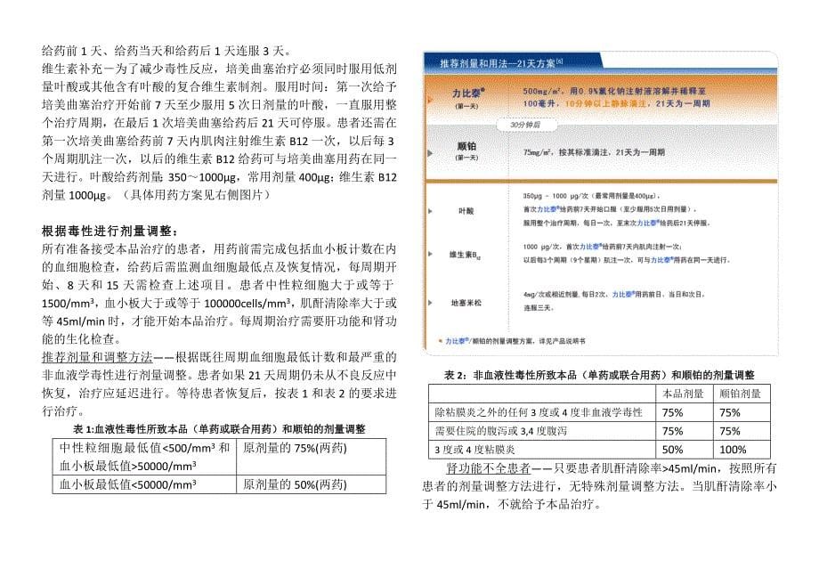 肺癌的化学治疗.doc_第5页