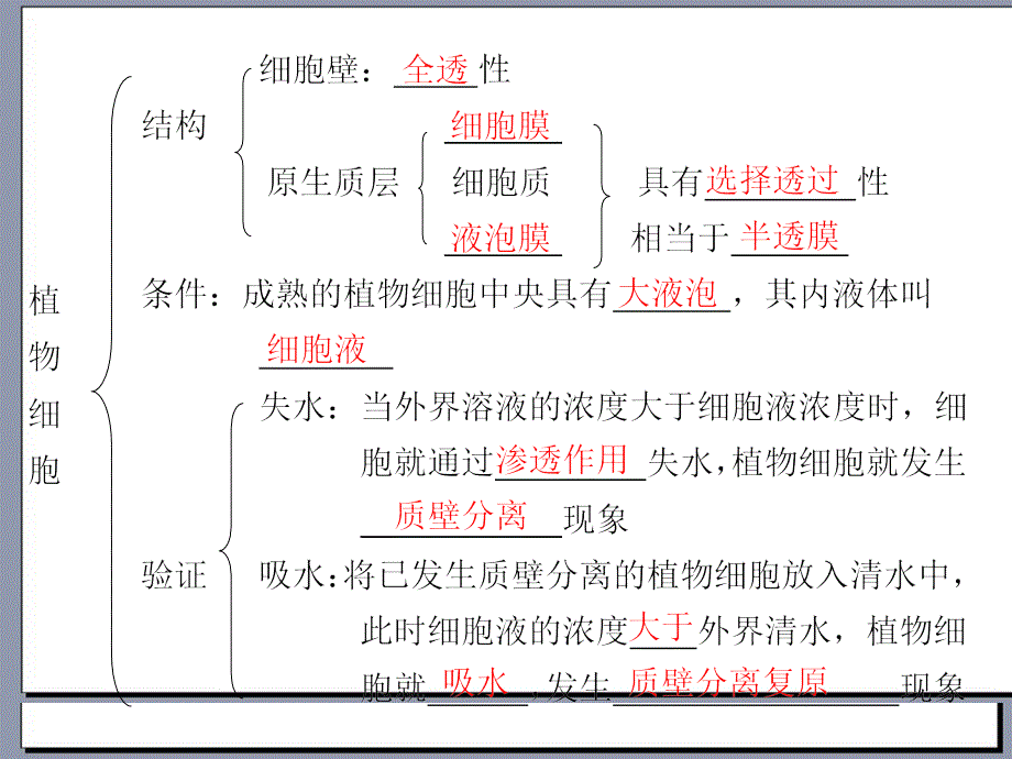 高三生物步步高一轮复习课件人教版第2单元第8课时物质跨膜运输的实例_第3页