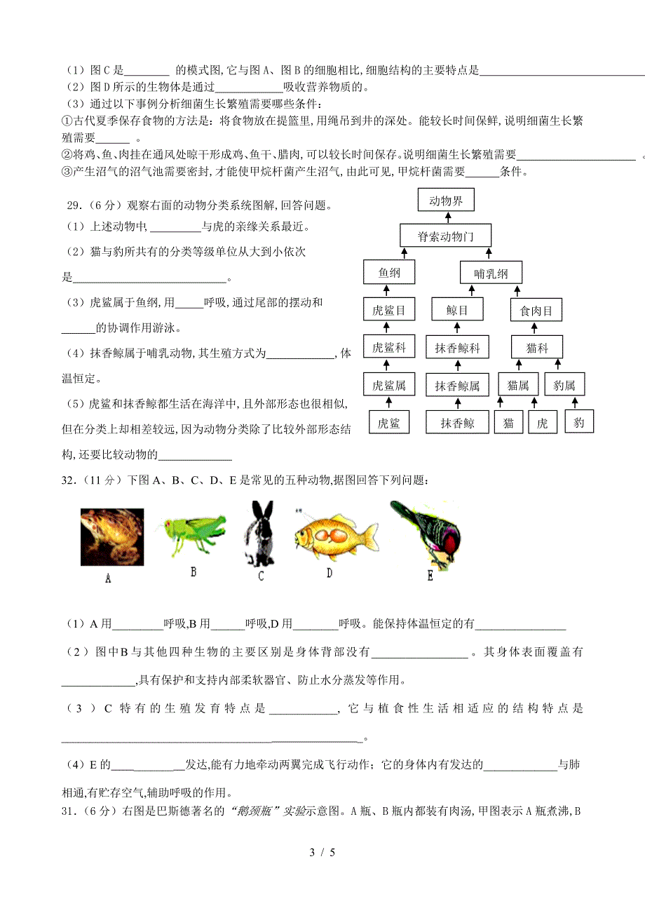 生物八年级上册测试题.doc_第3页