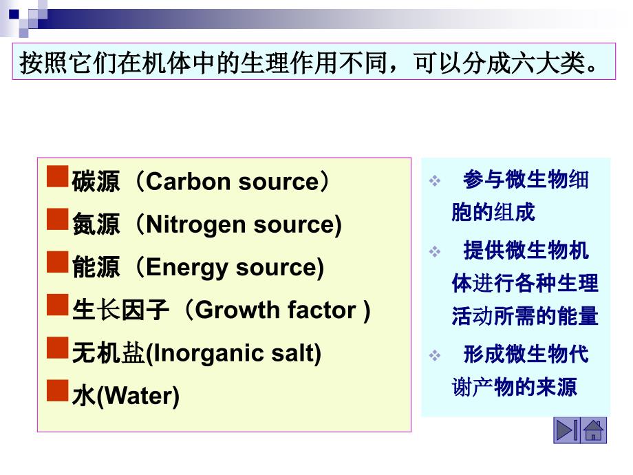 第5章营养类型和方式_第4页