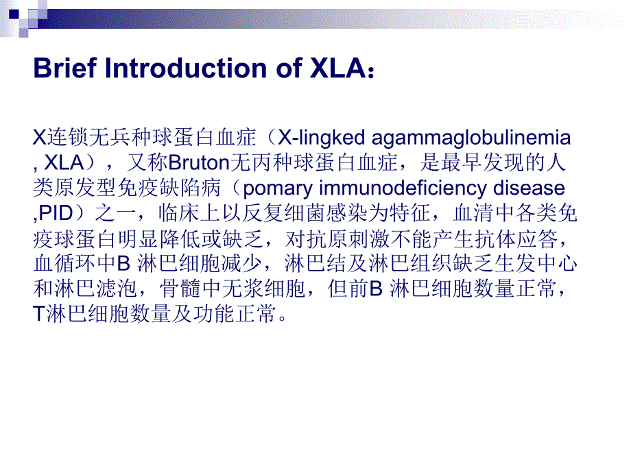 X连锁无丙种球蛋白血症XLA_第2页