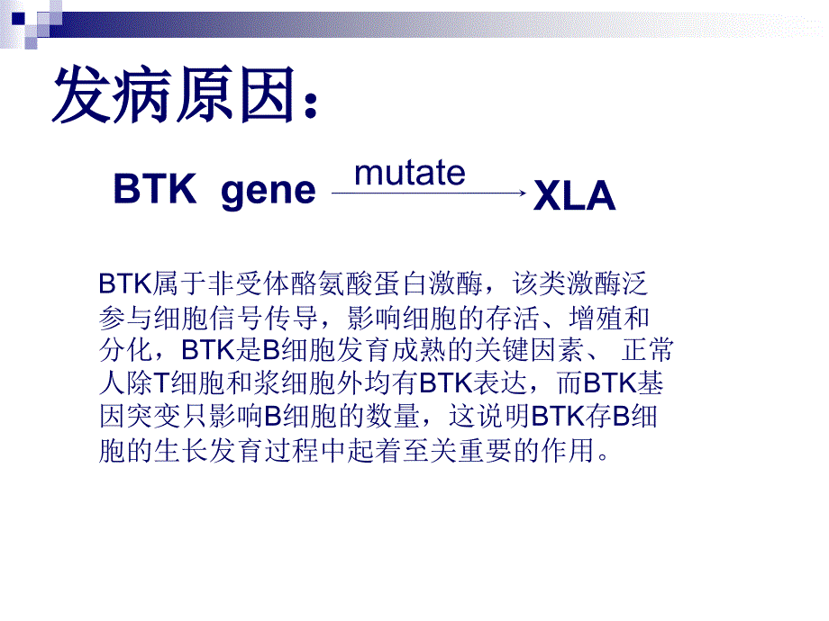 X连锁无丙种球蛋白血症XLA_第3页