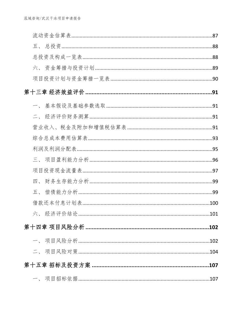 武汉干冰项目申请报告_参考范文_第5页