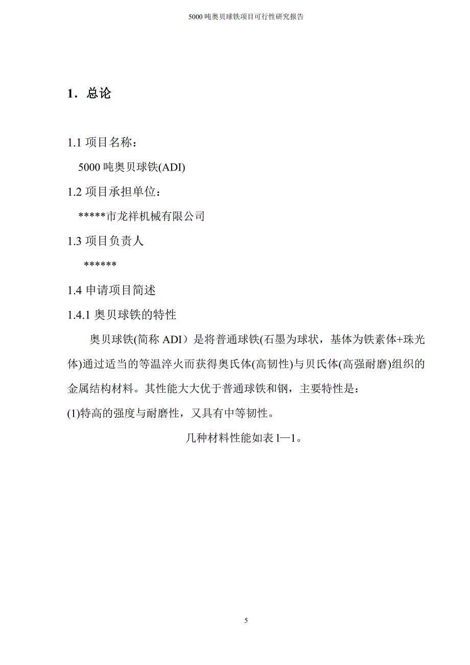 5000吨奥贝球铁生产项目可行性研究报告.doc_第5页