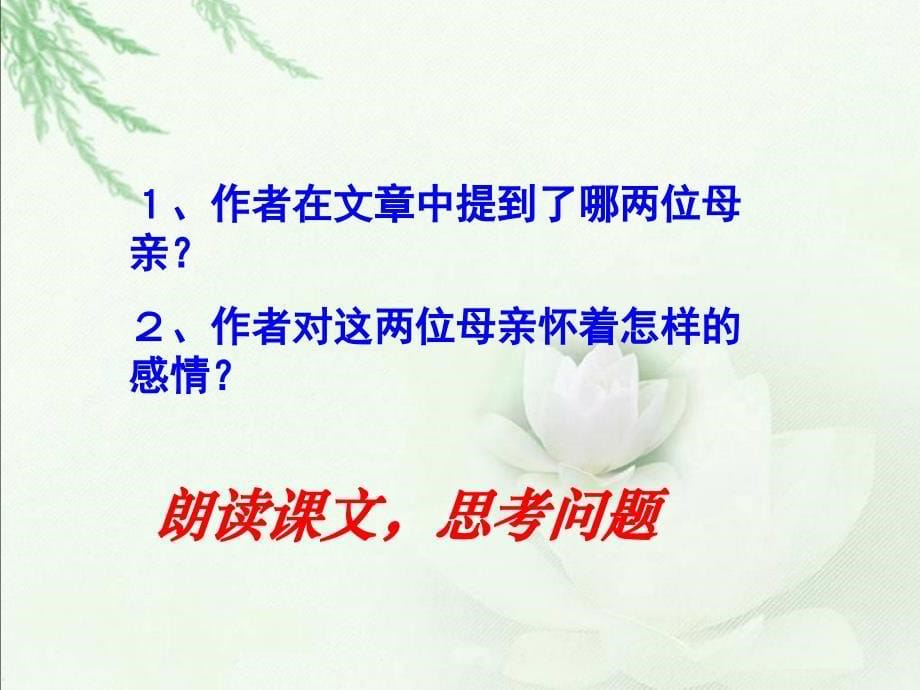 《怀念母亲》优质教学课件（第一课时）_第5页