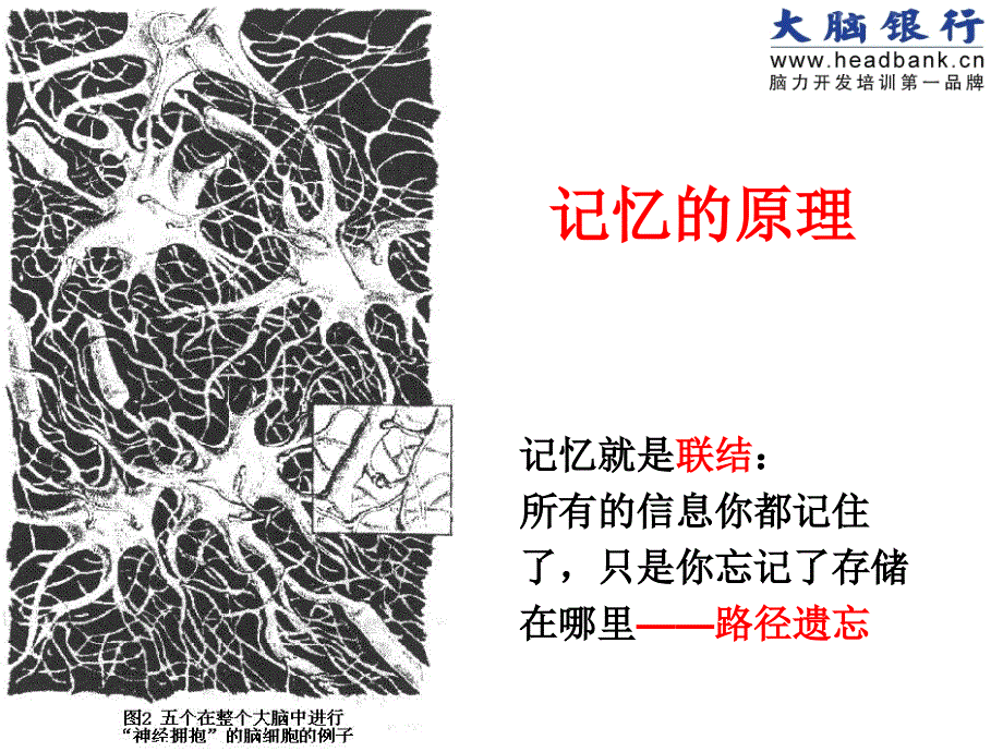 快速记忆法课件_第2页