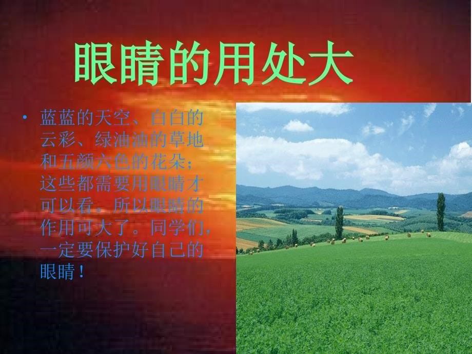 《保护眼睛-预防近视》ppt[1]_第5页