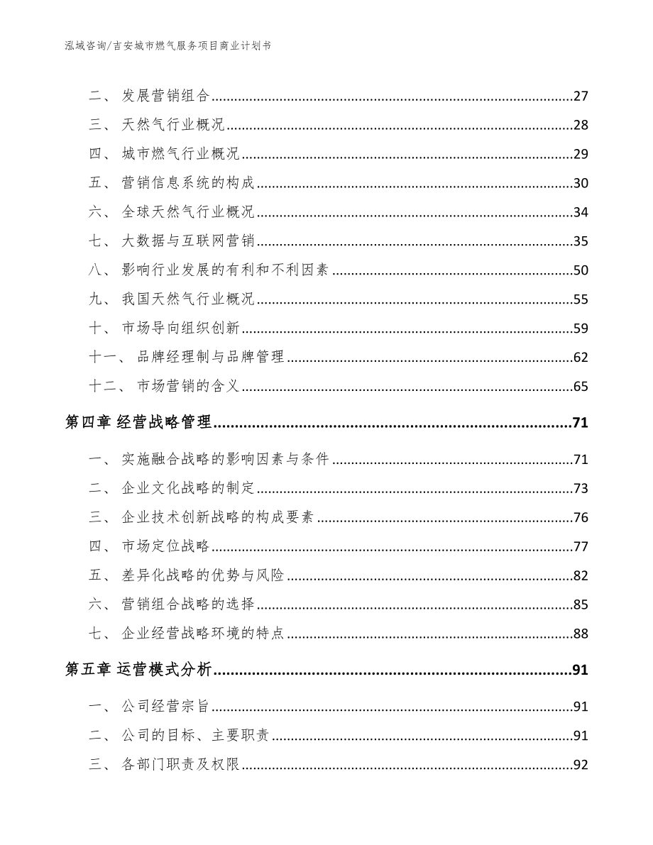 吉安城市燃气服务项目商业计划书_第2页