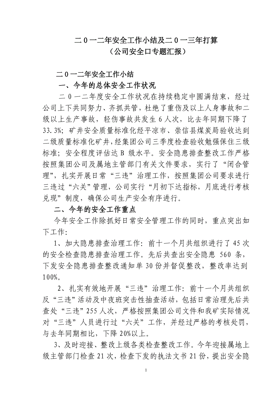 公司专题会议汇报(2012年小结及2013年打算)_第1页