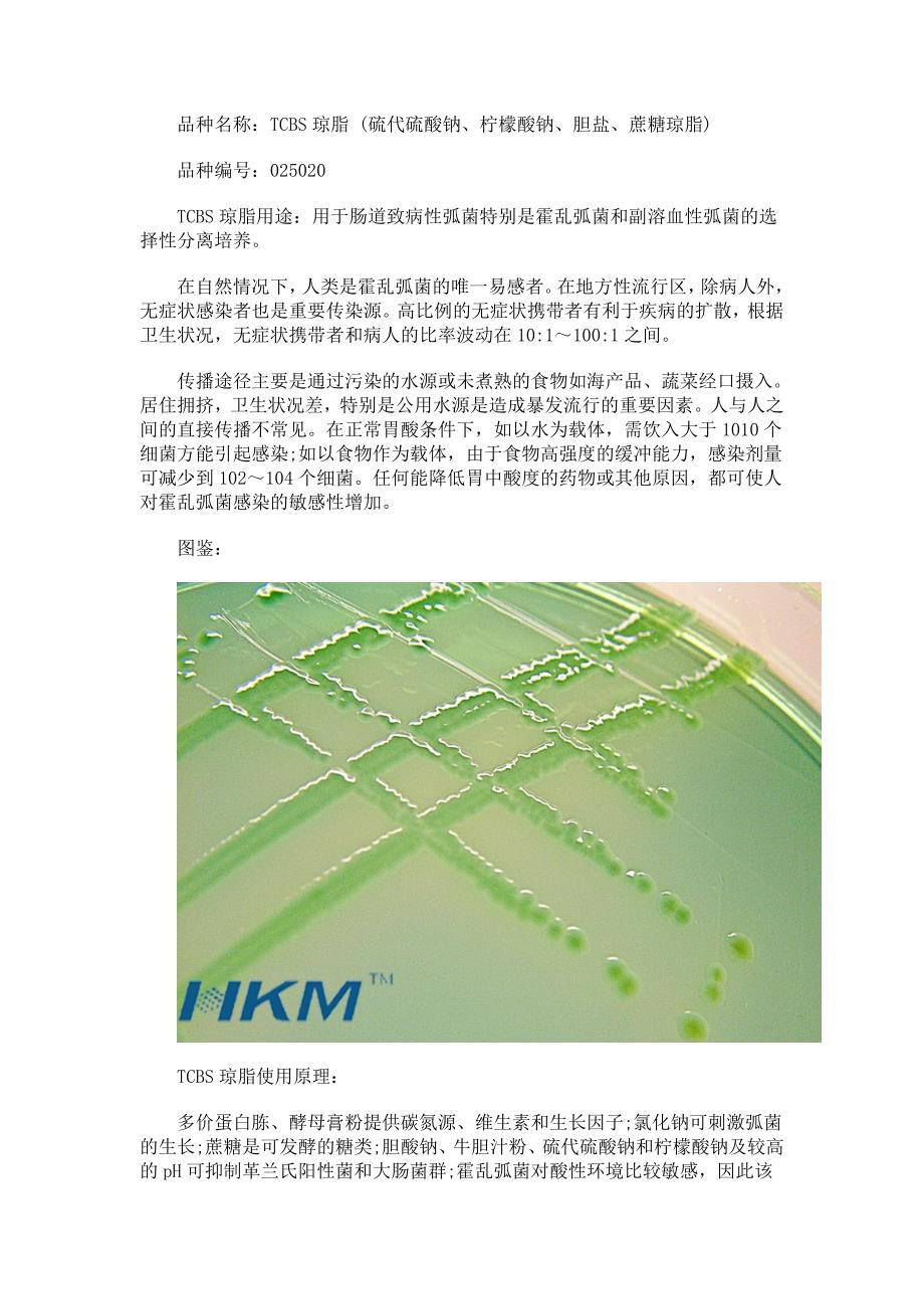 CBS琼脂培养基对致病菌的检测分离_第1页