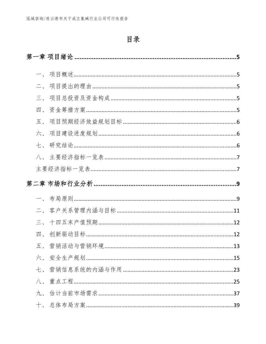 连云港市关于成立氯碱行业公司可行性报告模板范文_第1页
