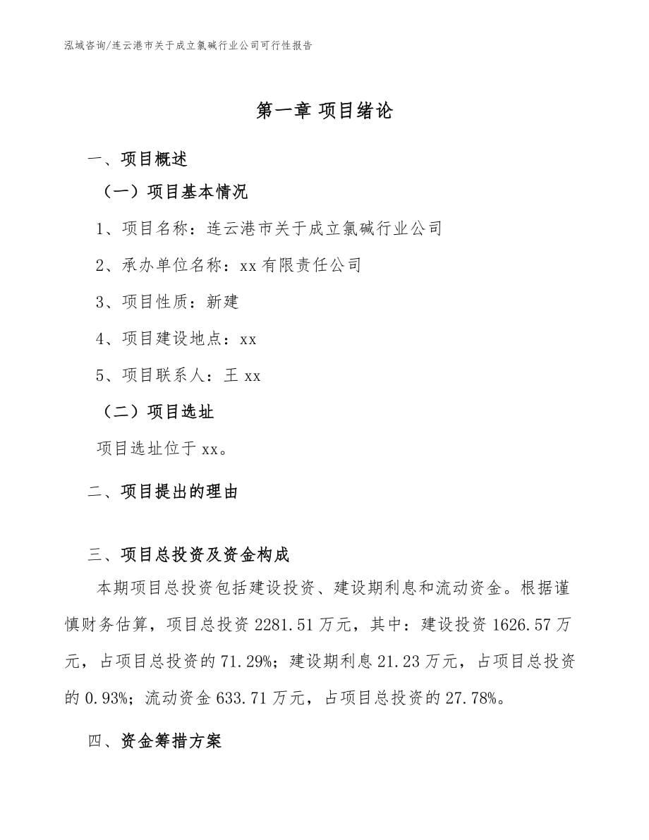 连云港市关于成立氯碱行业公司可行性报告模板范文_第5页