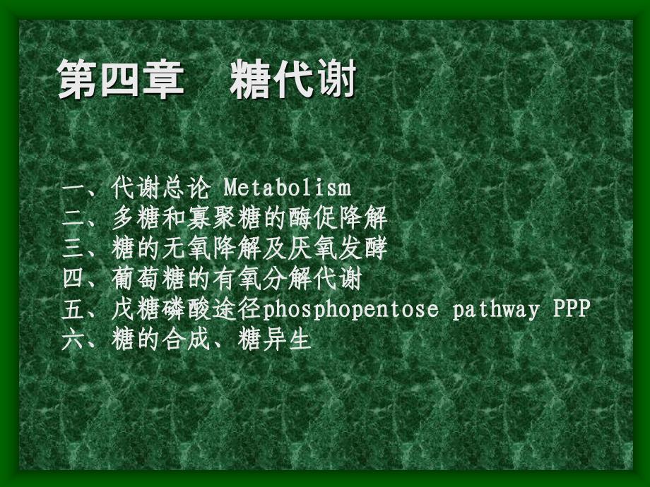 糖代谢生物化学ppt课件_第1页