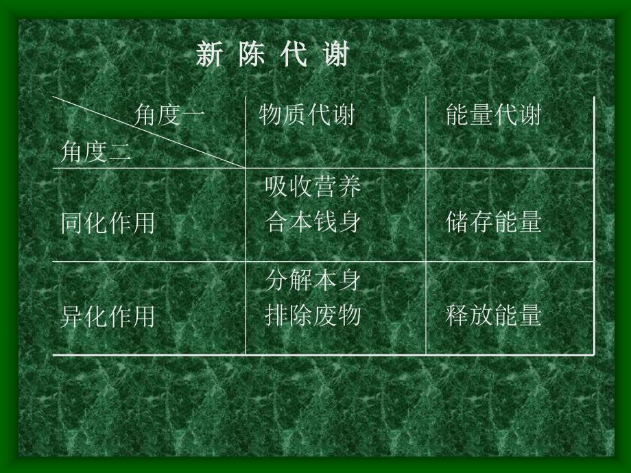 糖代谢生物化学ppt课件_第2页