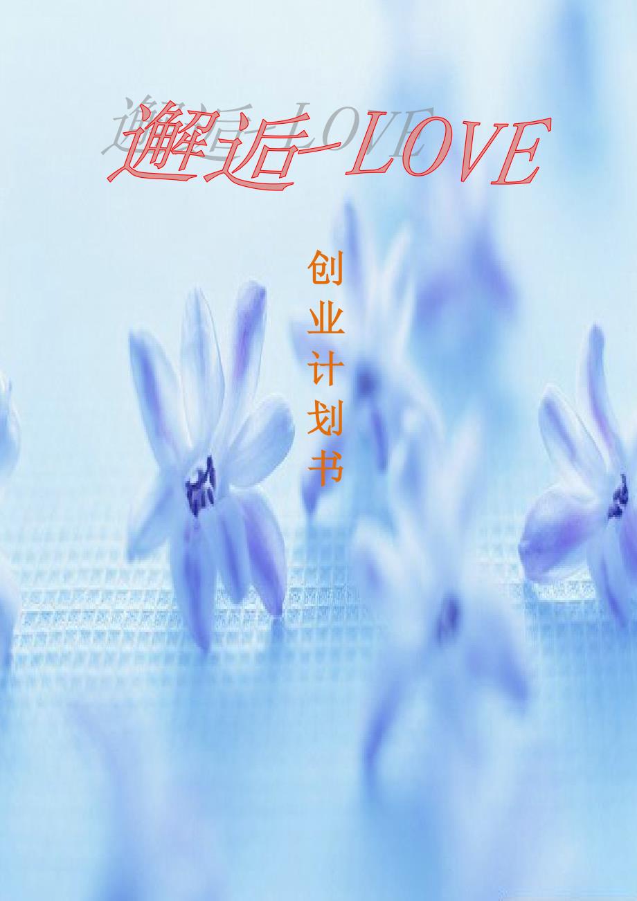 邂逅love申请立项可研报告_第1页