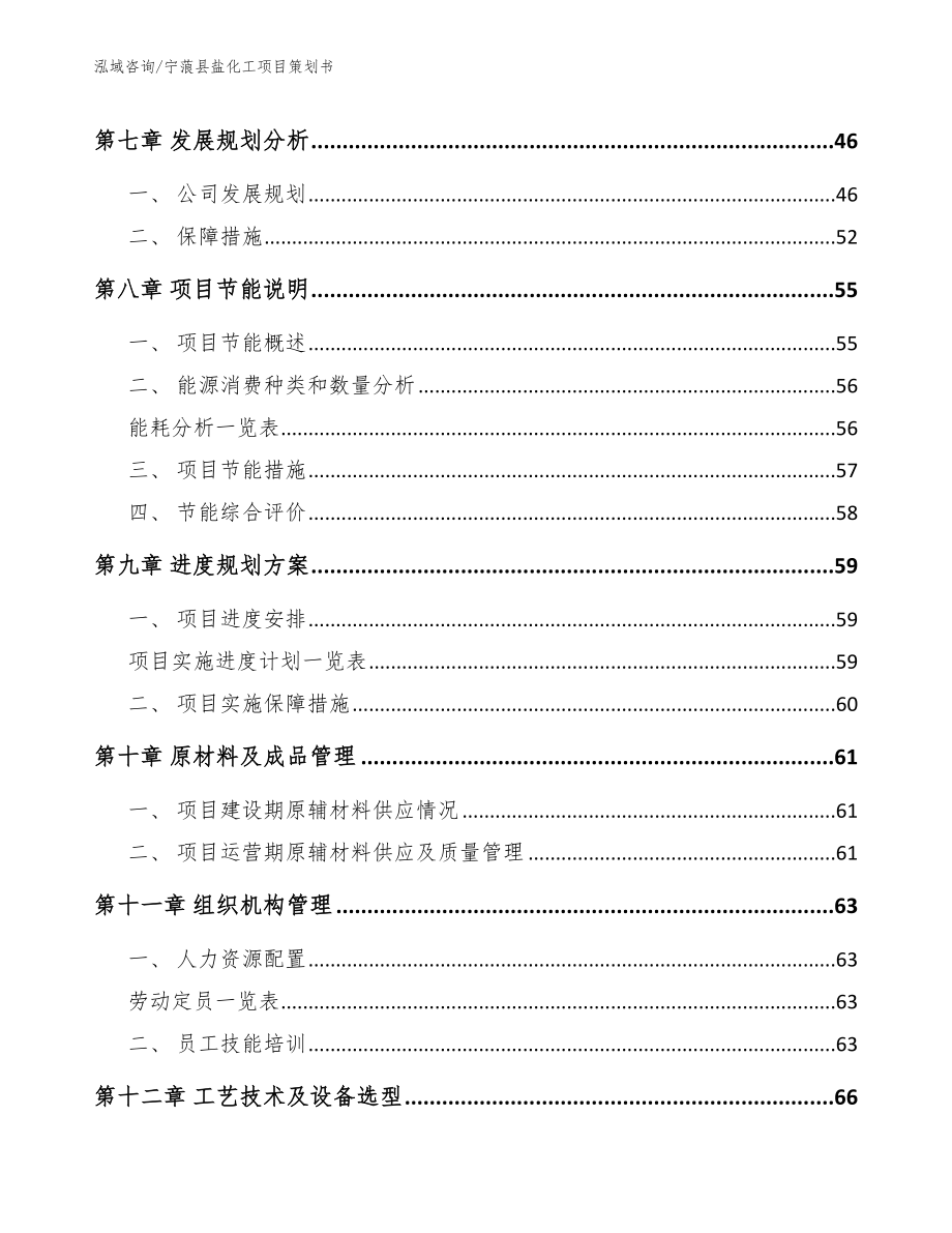 宁蒗县盐化工项目策划书【参考模板】_第4页