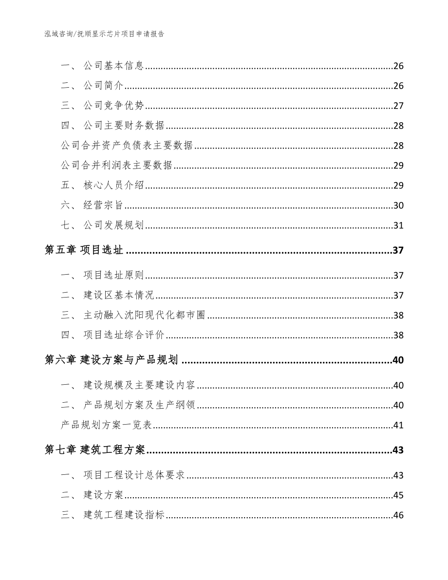 抚顺显示芯片项目申请报告（模板范本）_第3页