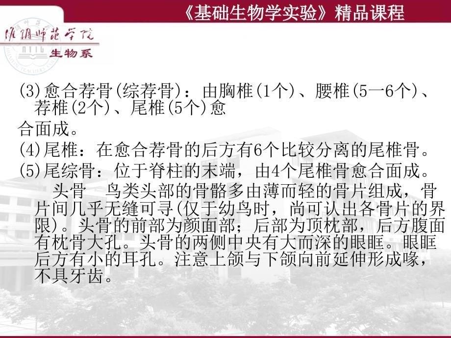 实验10家鸽或家鸡的形态结构与鸟纲分类_第5页