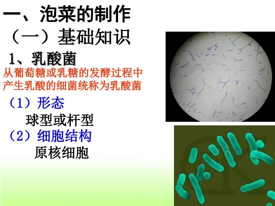 1.3泡菜的制作课件_第2页