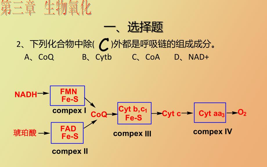 生物化学第四章习题_第3页