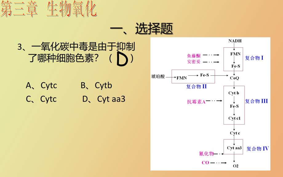 生物化学第四章习题_第4页