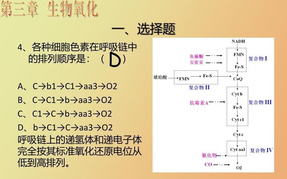 生物化学第四章习题_第5页