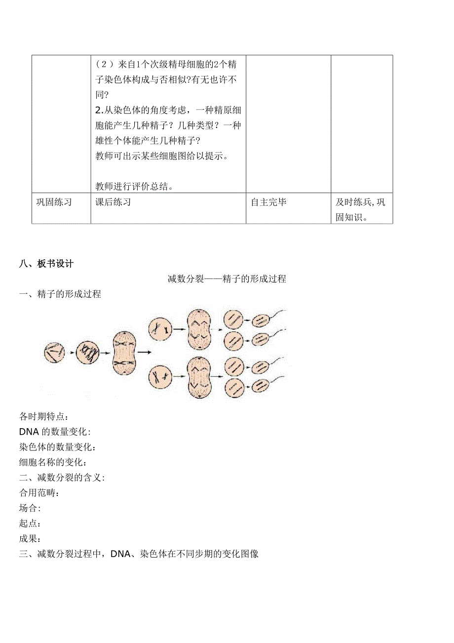 精子的形成_第4页