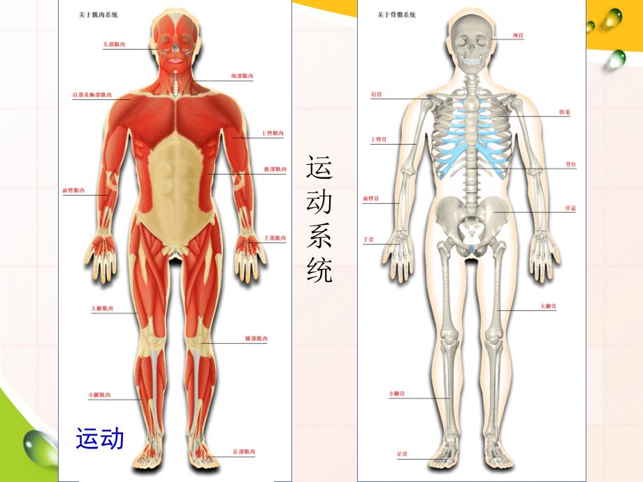 第二节运动的形成第一课时7月22日改_第3页