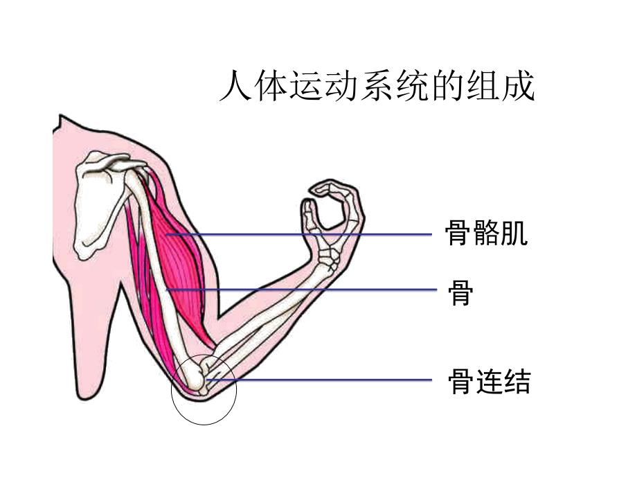 第二节运动的形成第一课时7月22日改_第4页