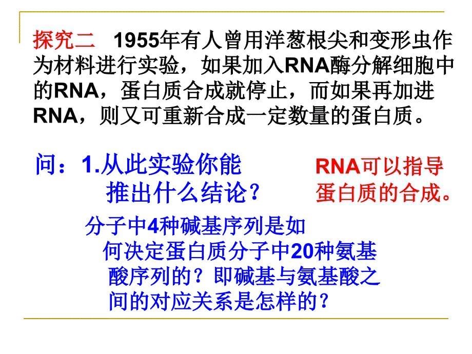 遗传信息的表达RNA和蛋白质合成教学_第5页