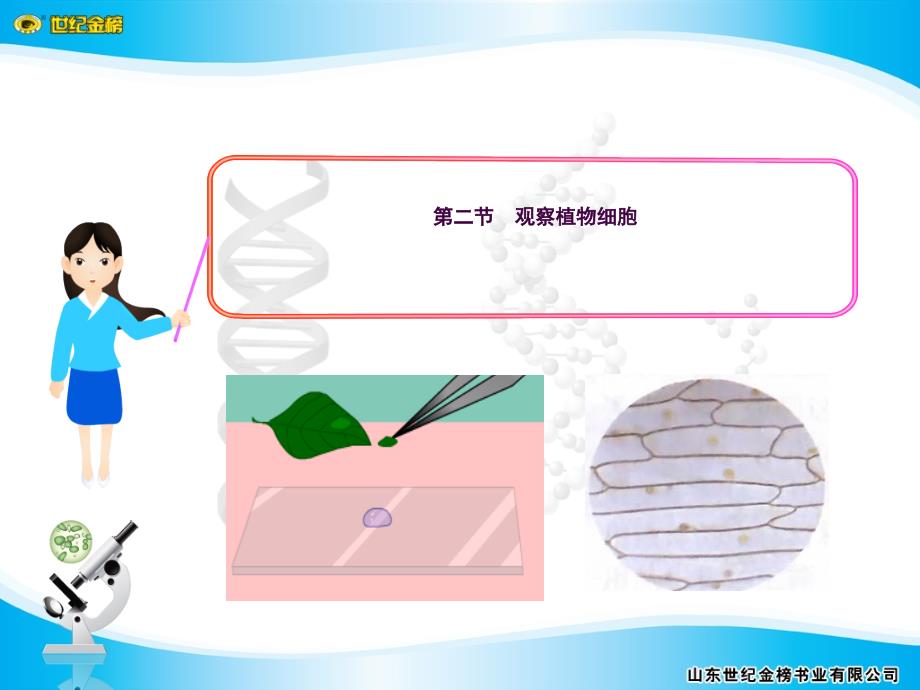 观察植物细胞ppt课件_第1页