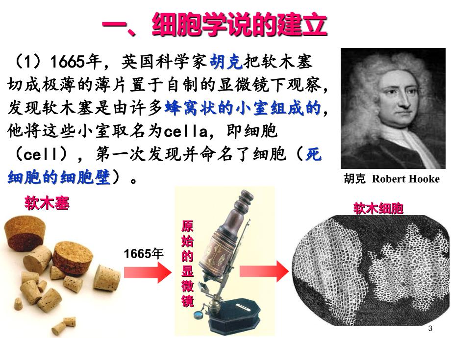 第二章第一节细胞概述共33张PPT_第3页