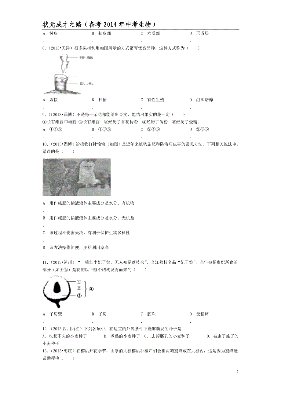 备战绿色植物的一生含解析1_第2页